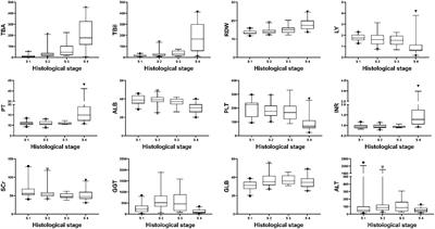 TR score: A noninvasive model to predict histological stages in patients with primary biliary cholangitis